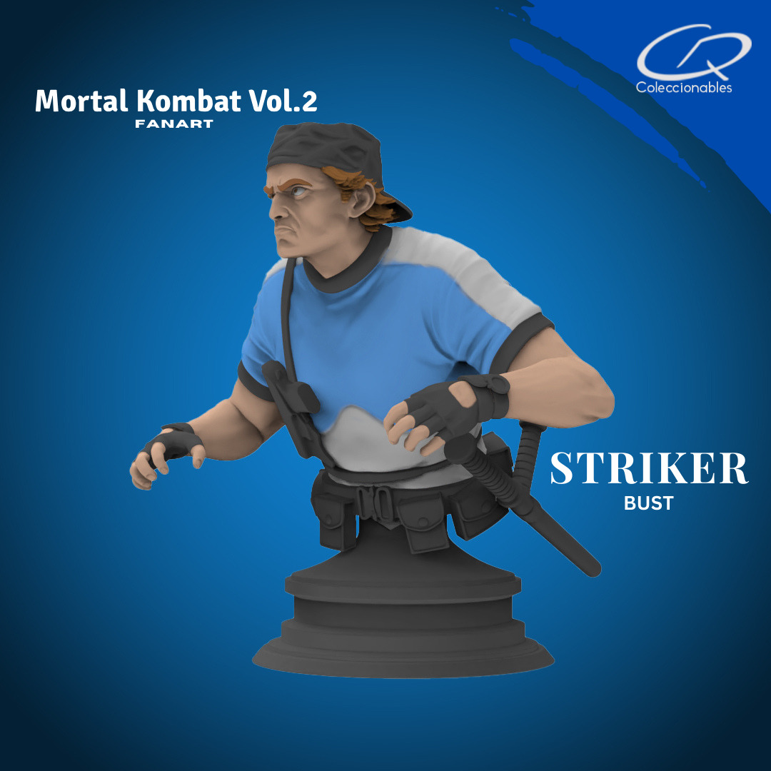 Mortal Kombat Vol 2 - Striker 3D print model_5