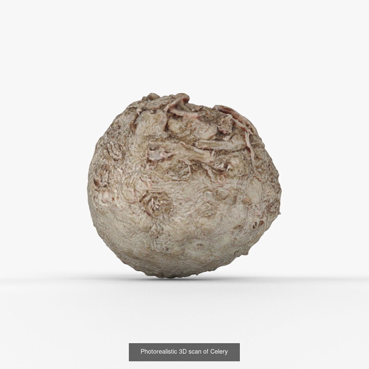 Photorealistic 3D scanning of different vegetables 3D Model Collection_5