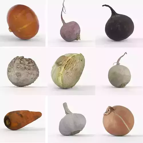 Photorealistic 3D scanning of different vegetables 3D Model Collection