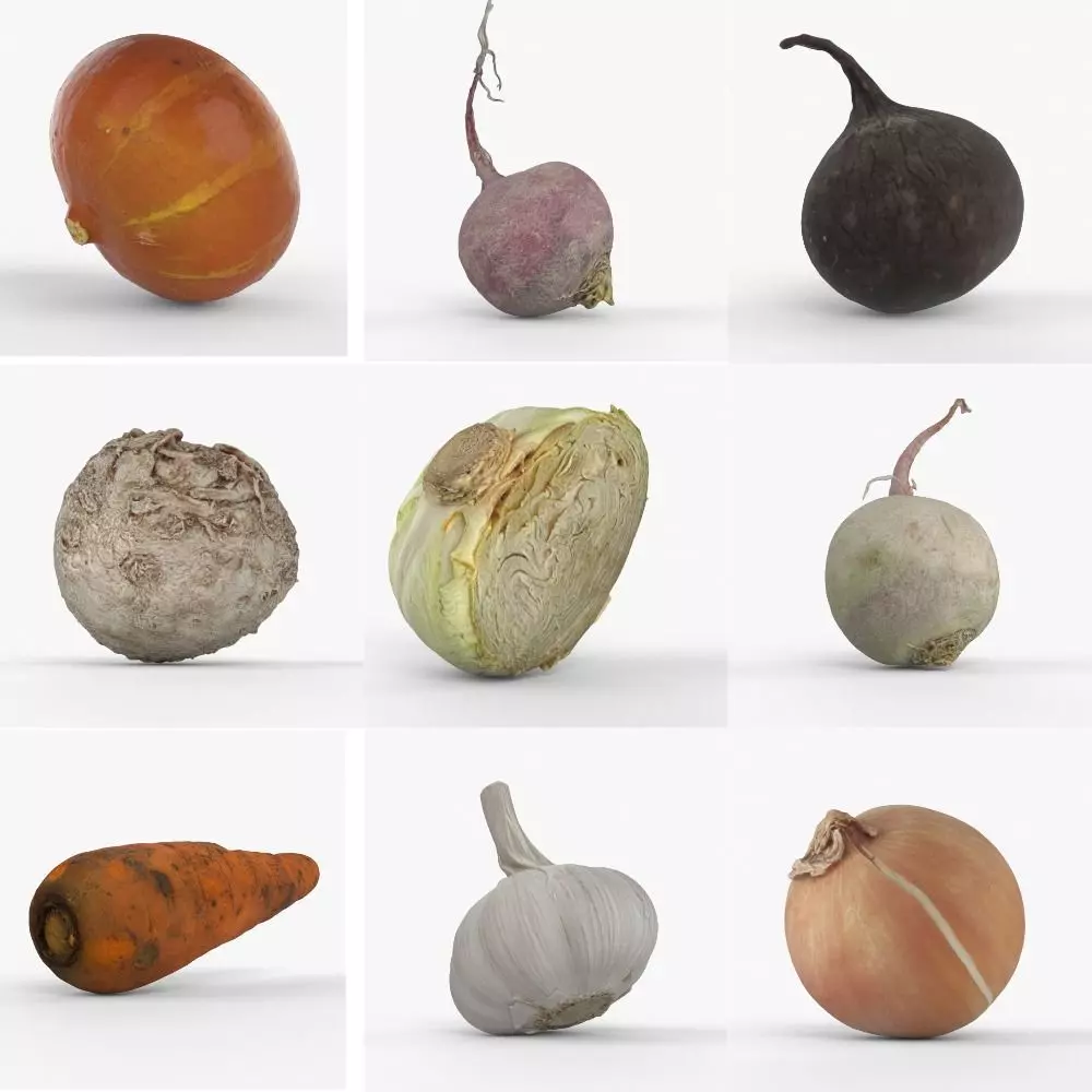 Photorealistic 3D scanning of different vegetables 3D Model Collection_0