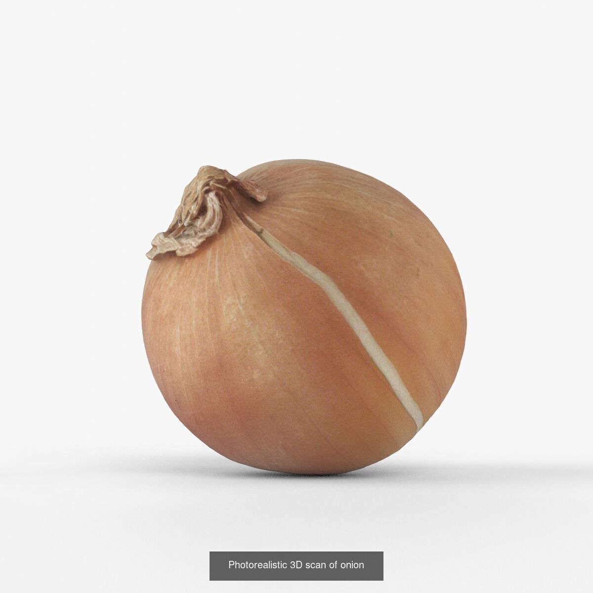 Photorealistic 3D scanning of different vegetables 3D Model Collection_3