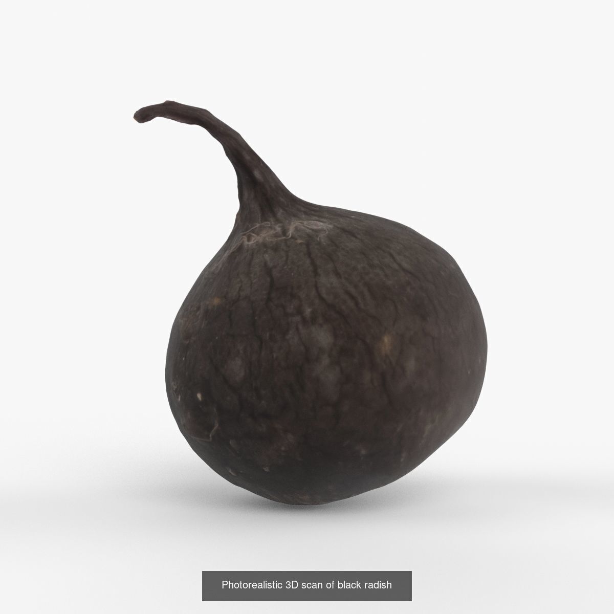 Photorealistic 3D scanning of different vegetables 3D Model Collection_8