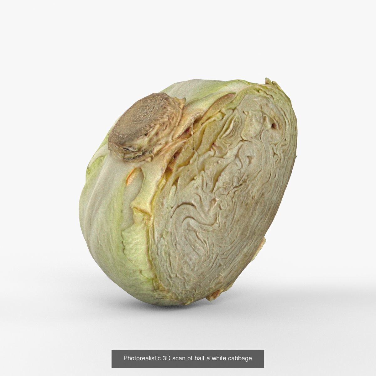 Photorealistic 3D scanning of different vegetables 3D Model Collection_4