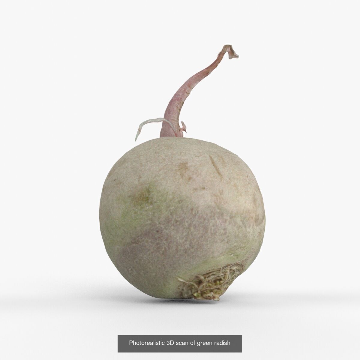 Photorealistic 3D scanning of different vegetables 3D Model Collection_7