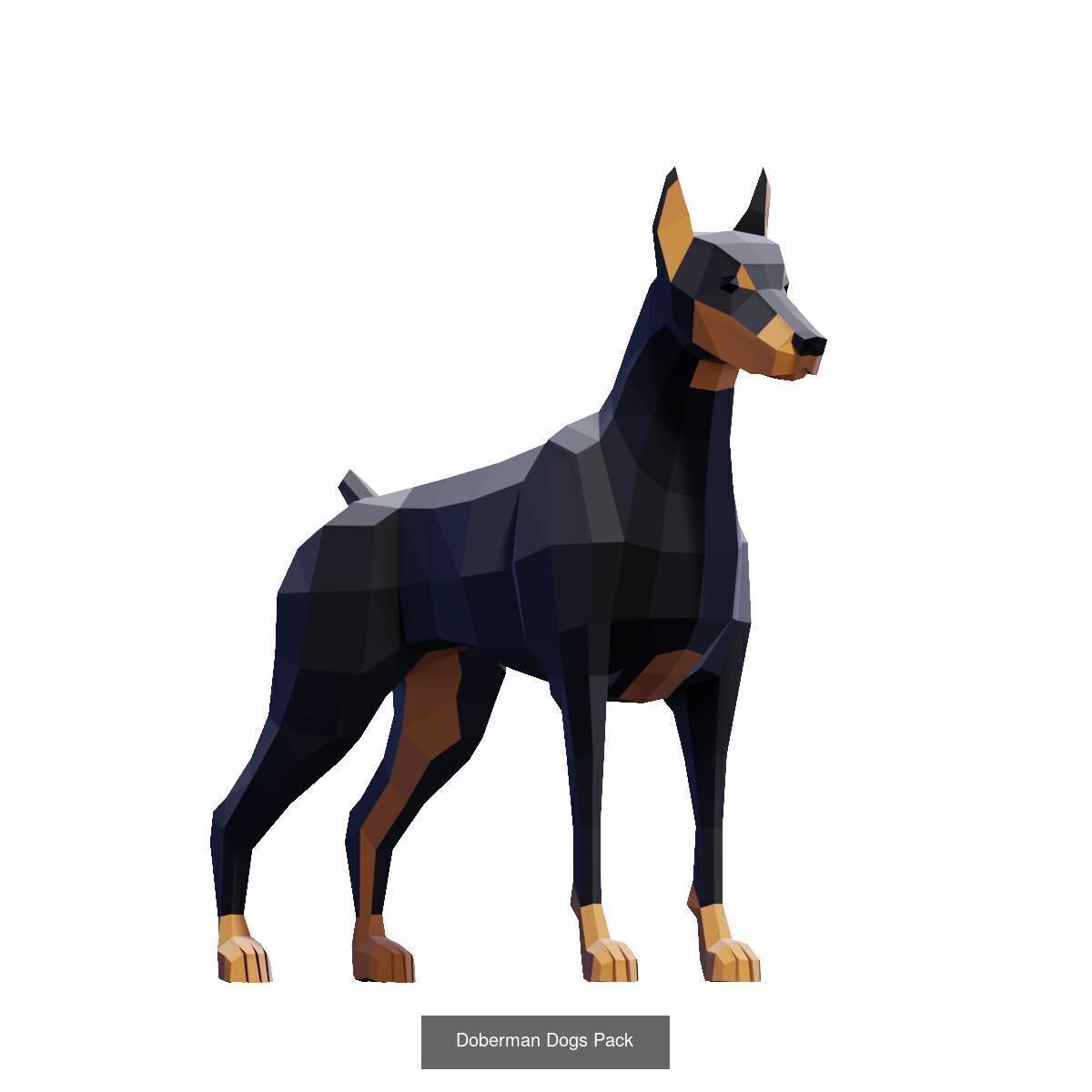 Low Poly Animals Compilation 3D Model Collection_20