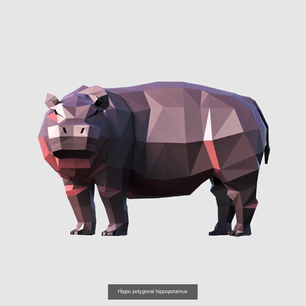 Low Poly Animals Compilation 3D Model Collection_38