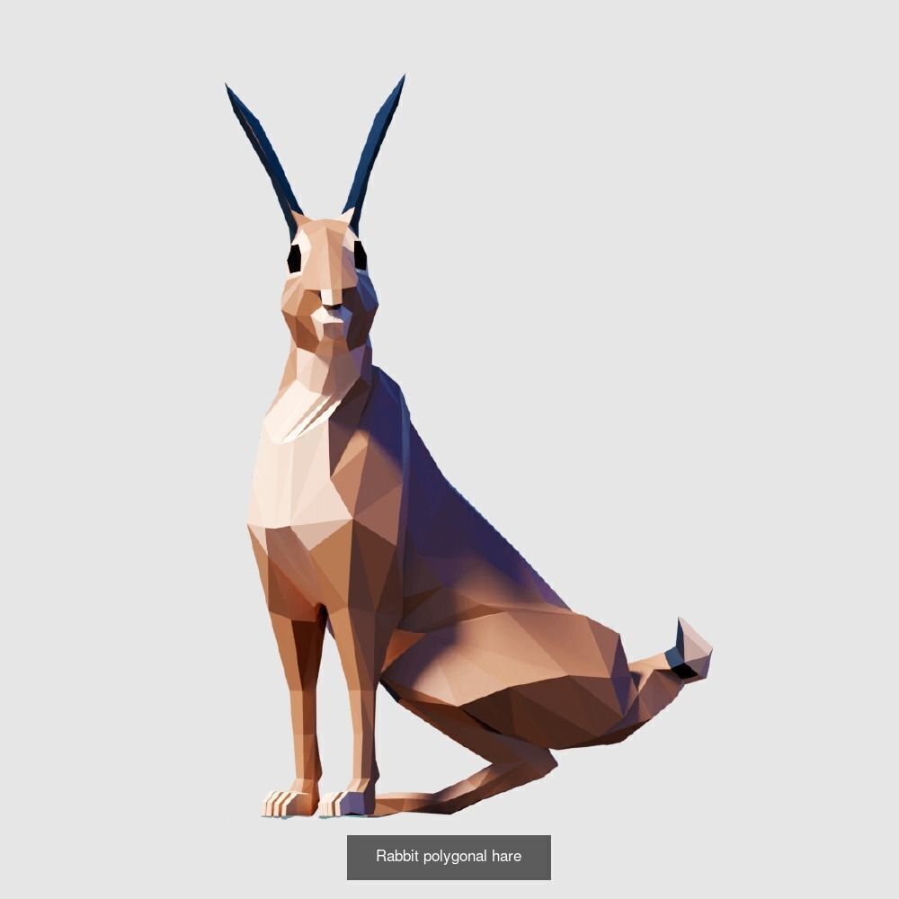Low Poly Animals Compilation 3D Model Collection_45