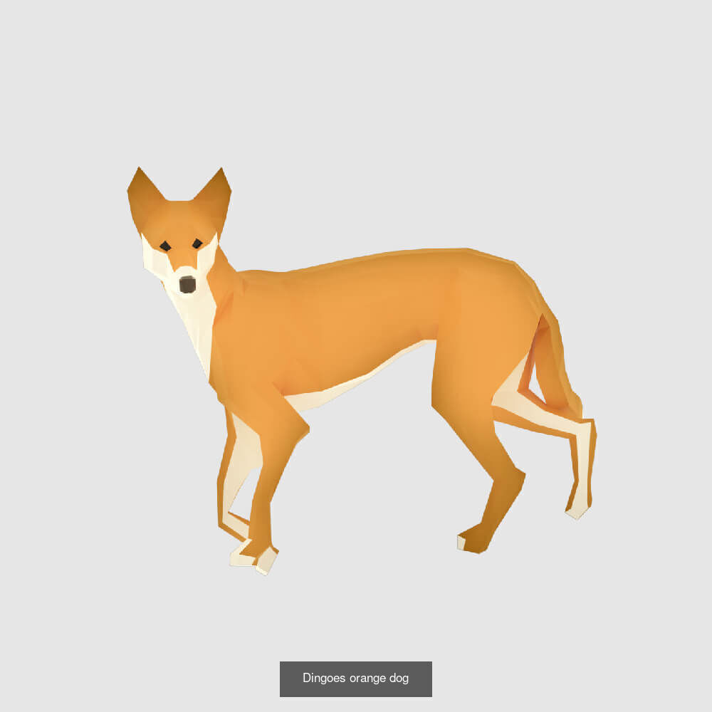 Low Poly Animals Compilation 3D Model Collection_21