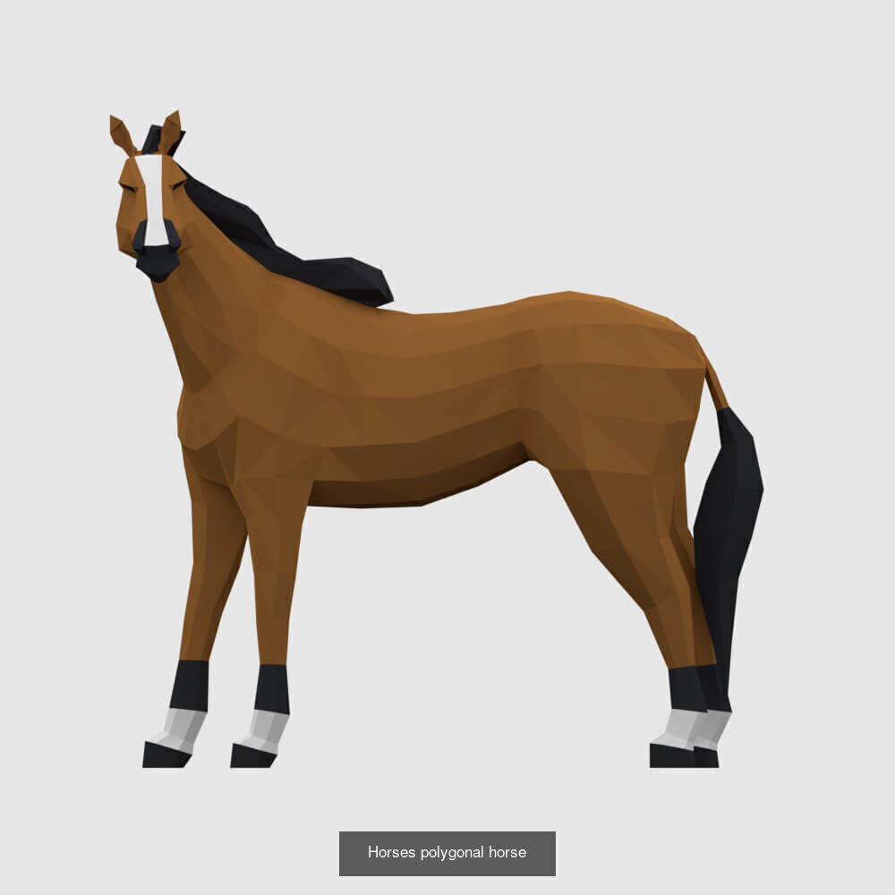 Low Poly Animals Compilation 3D Model Collection_15