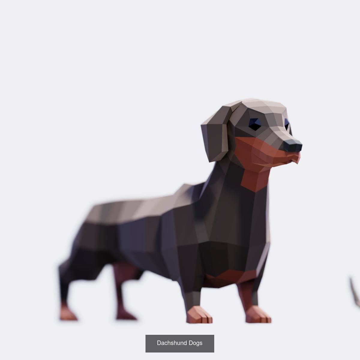 Low Poly Animals Compilation 3D Model Collection_55