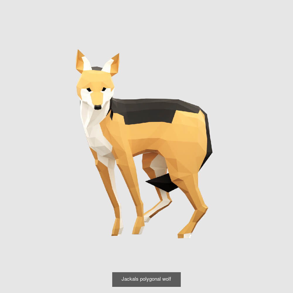 Low Poly Animals Compilation 3D Model Collection_14
