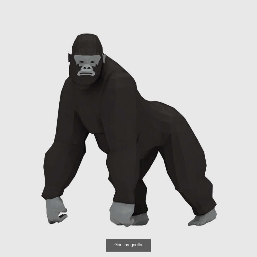 Low Poly Animals Compilation 3D Model Collection_16