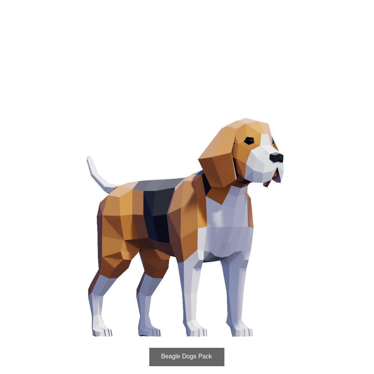 Low Poly Animals Compilation 3D Model Collection_61