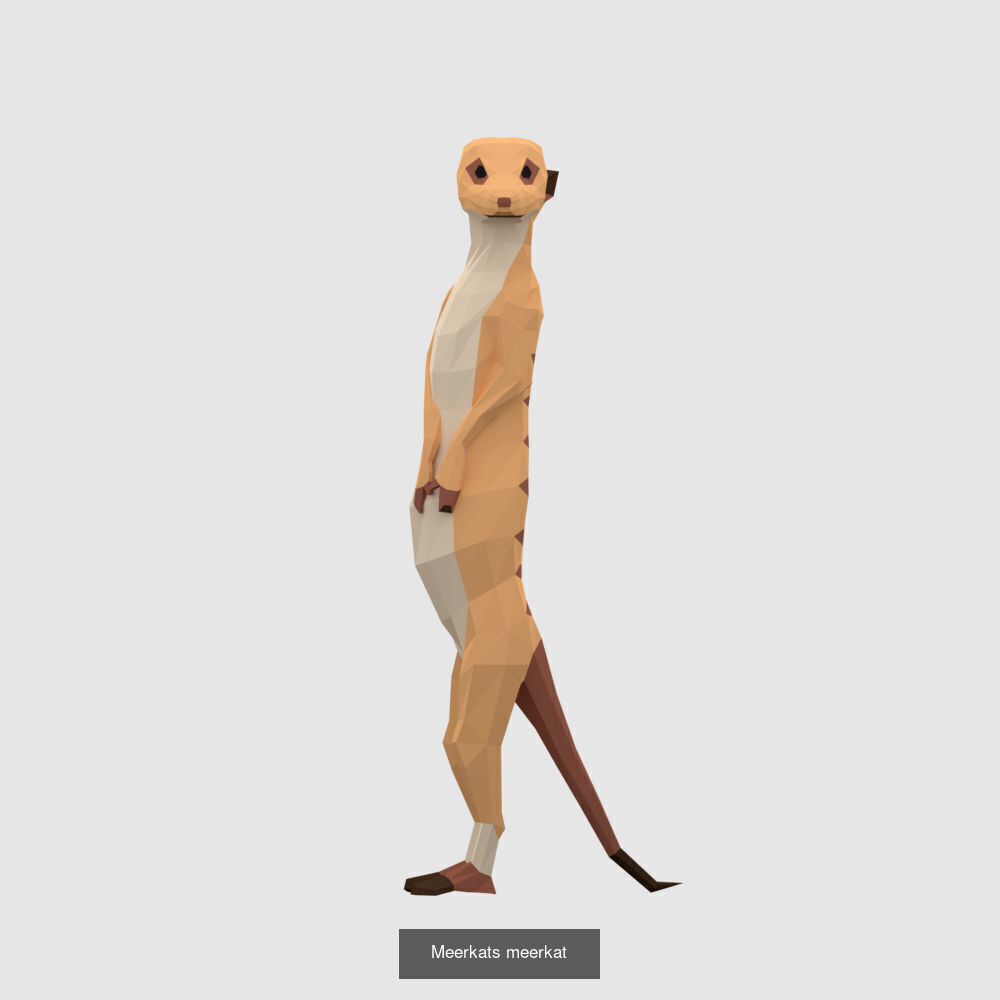 Low Poly Animals Compilation 3D Model Collection_12