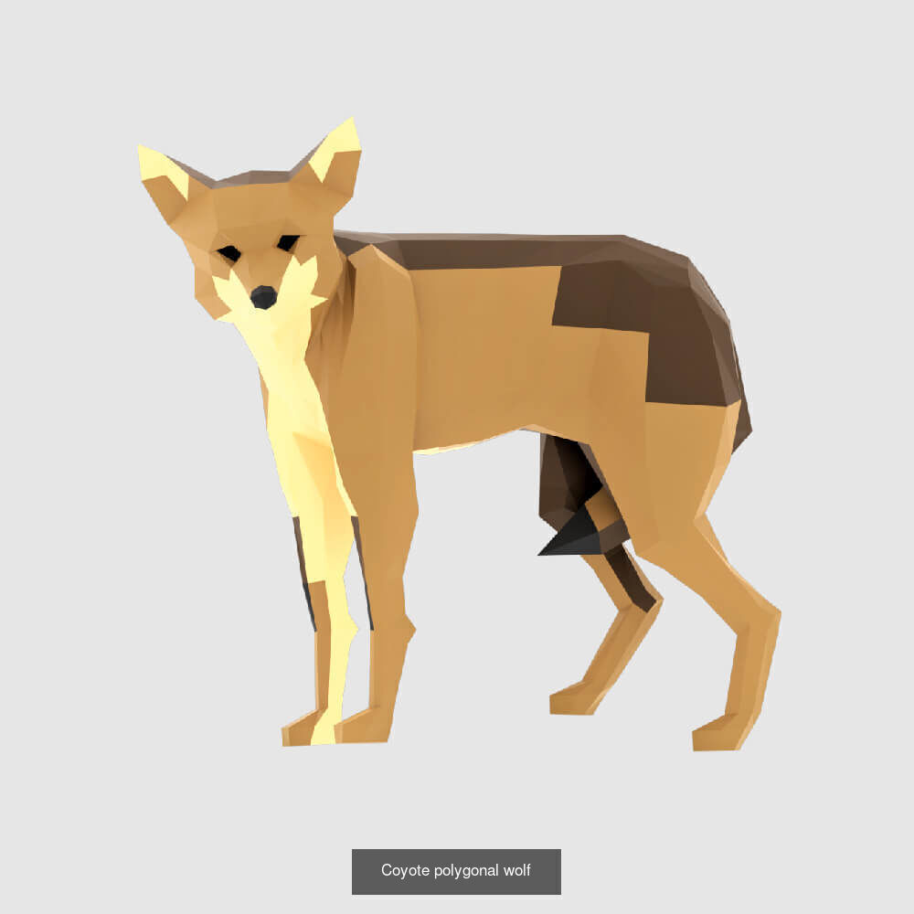 Low Poly Animals Compilation 3D Model Collection_23