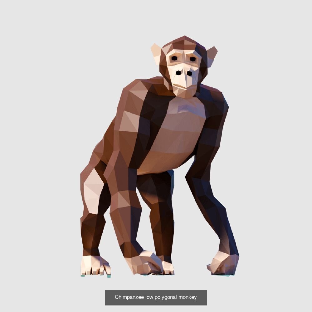 Low Poly Animals Compilation 3D Model Collection_35