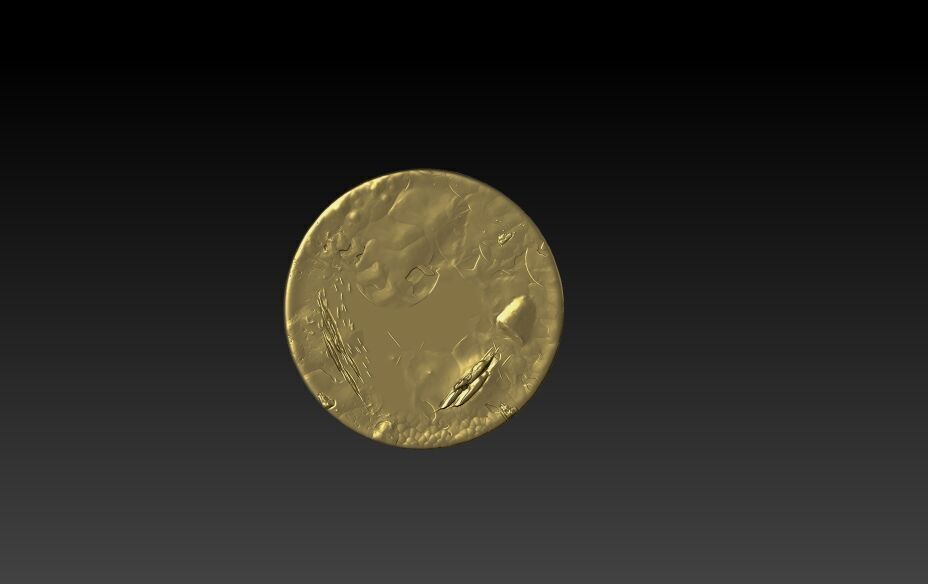 Rusty old coin 3D model_1