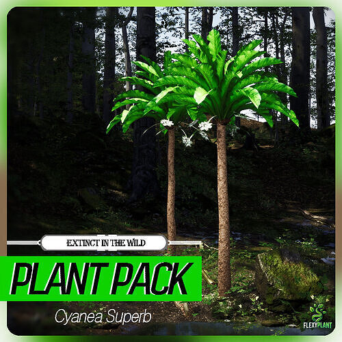 Extinct in the Wild Plant - 4 Cyanea Superb White Flower Tree Low-poly 3D model