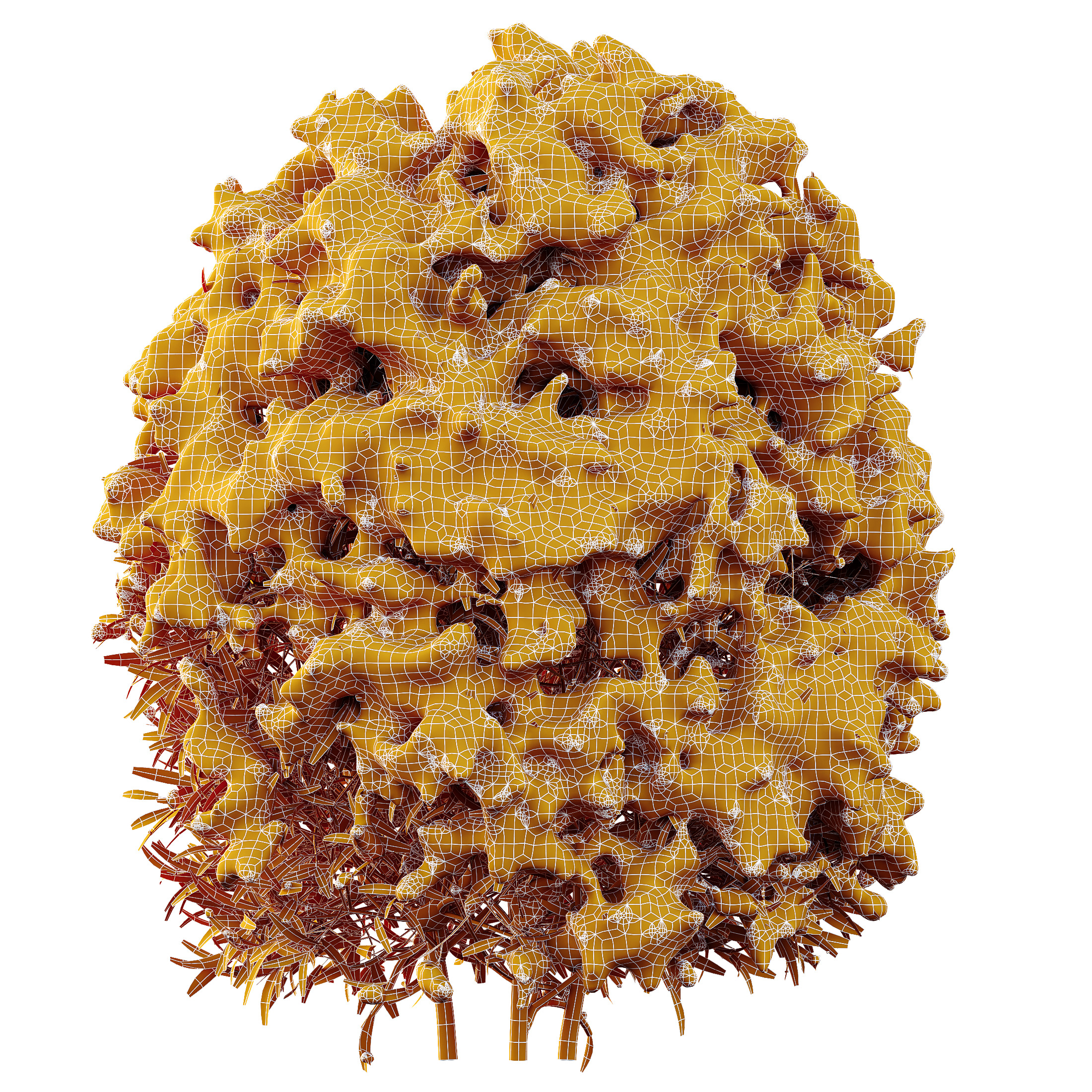 AV Plants Ligustrum Quihoui Privet Pruned Sphere Winter Snow 3D model_4