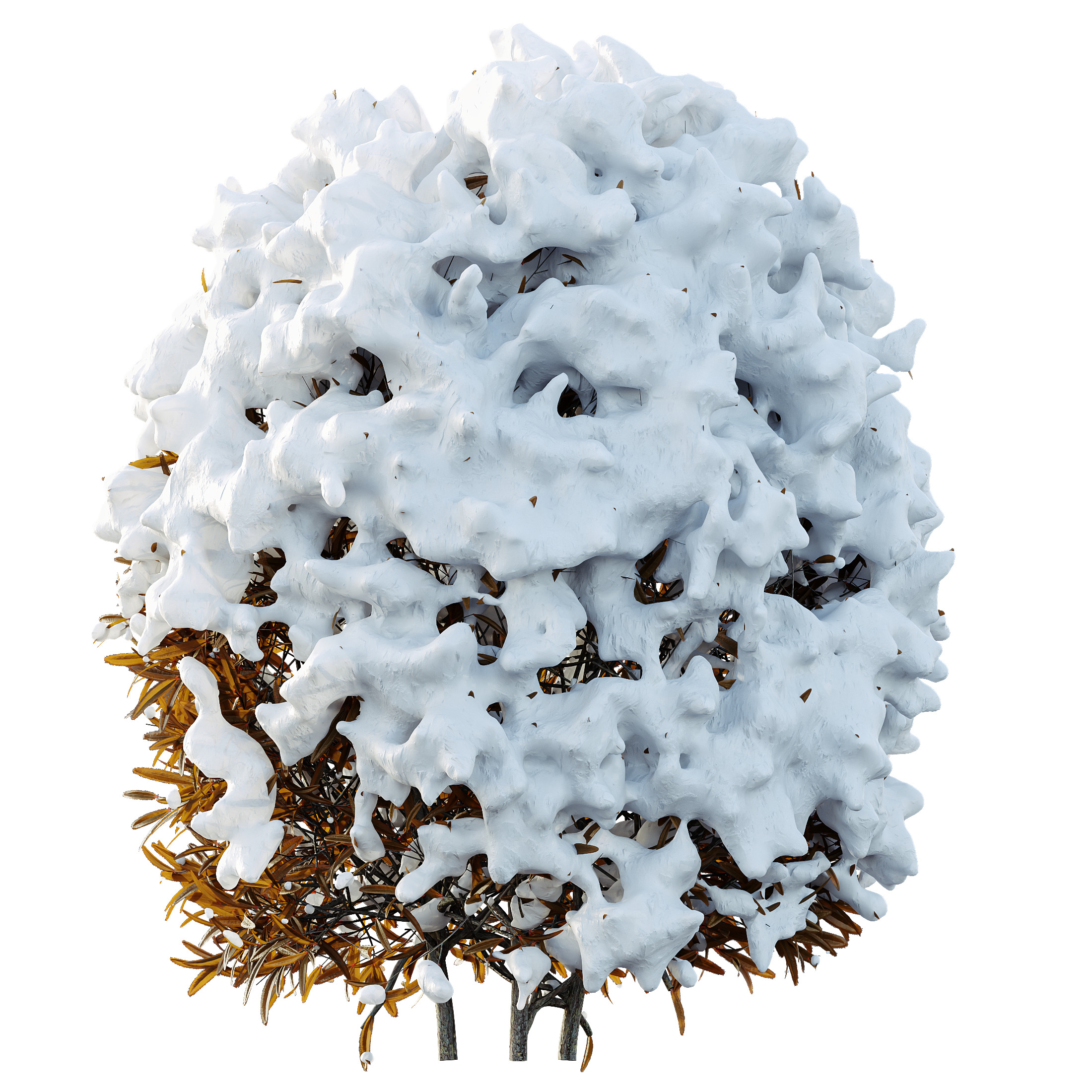 AV Plants Ligustrum Quihoui Privet Pruned Sphere Winter Snow 3D model_1