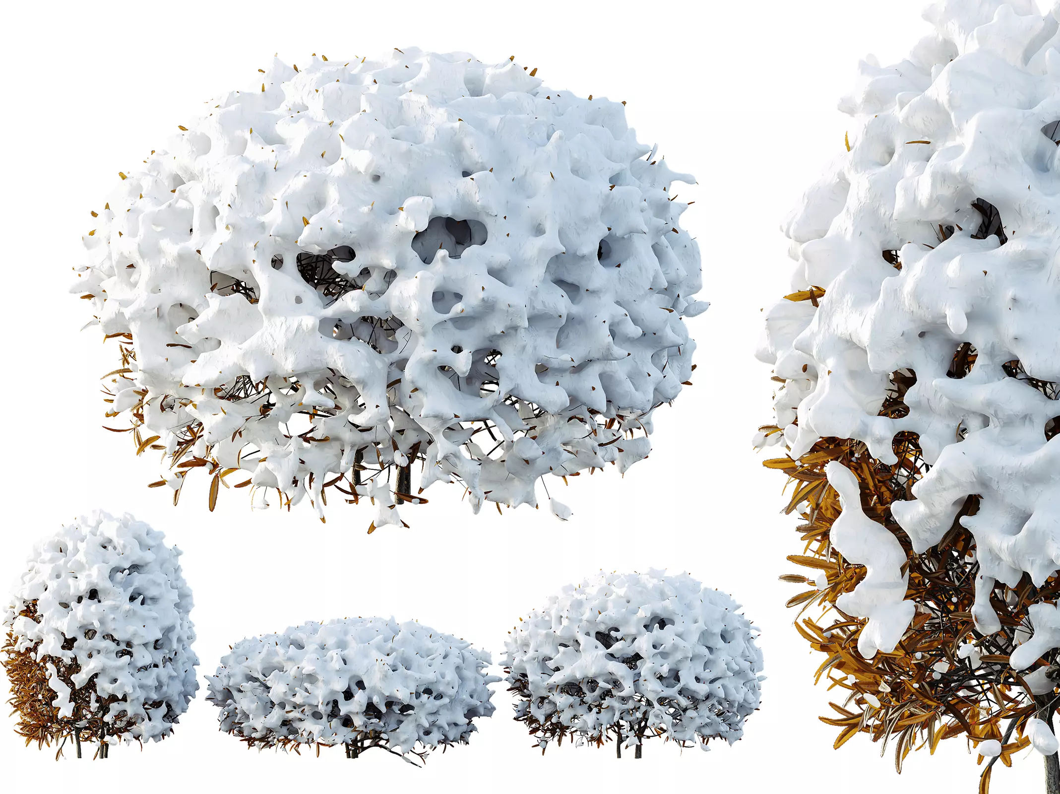 AV Plants Ligustrum Quihoui Privet Pruned Sphere Winter Snow 3D model_0