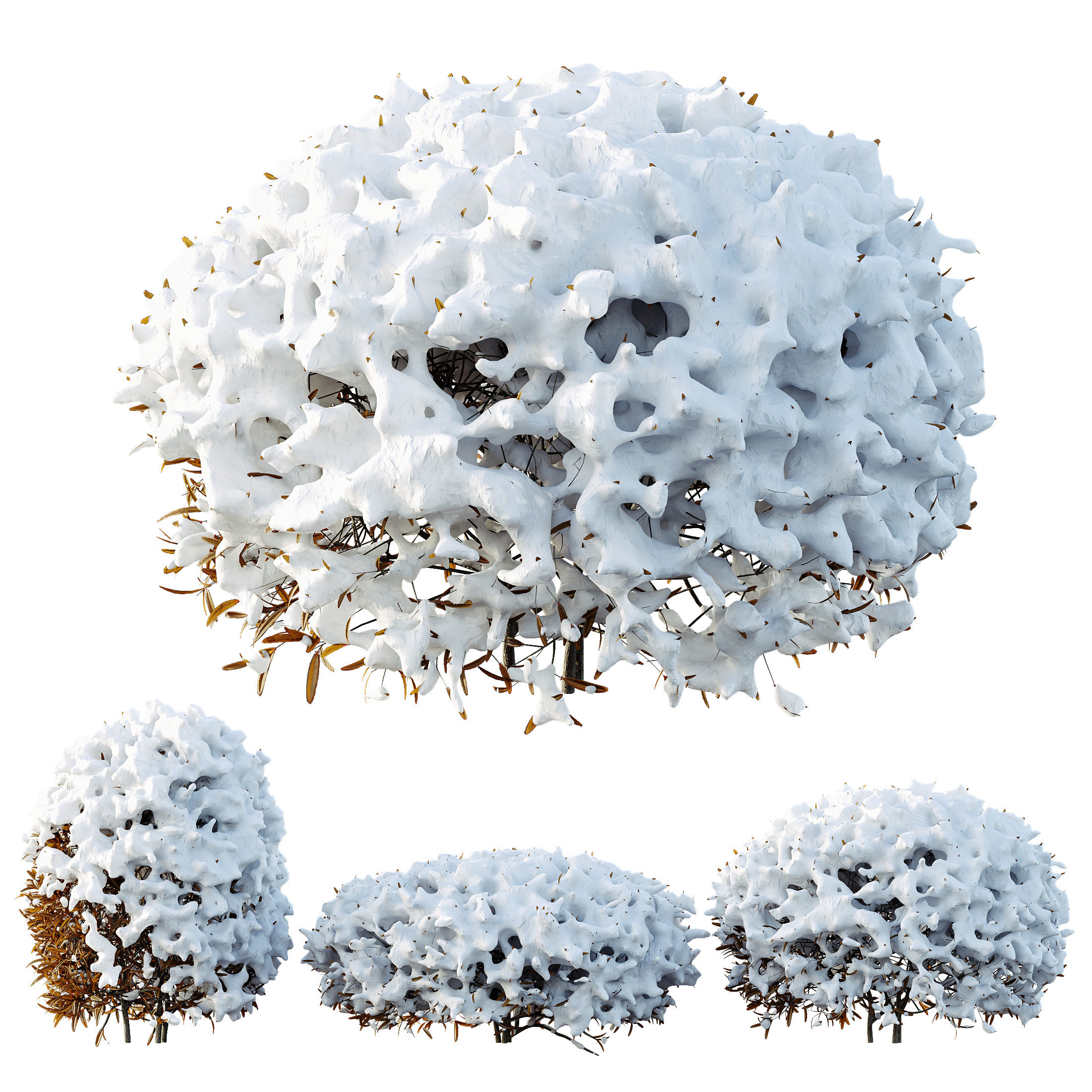 AV Plants Ligustrum Quihoui Privet Pruned Sphere Winter Snow 3D model_3