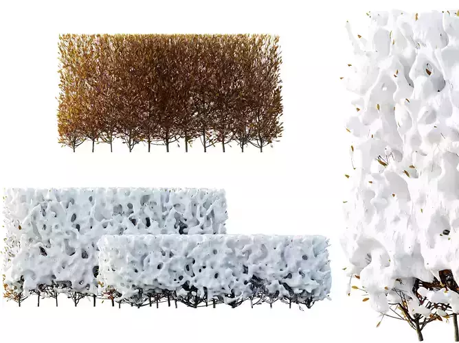 AV Plants Red Ixora Jasmine Gardens Chinese Dwarf  Winter Snow 3D model