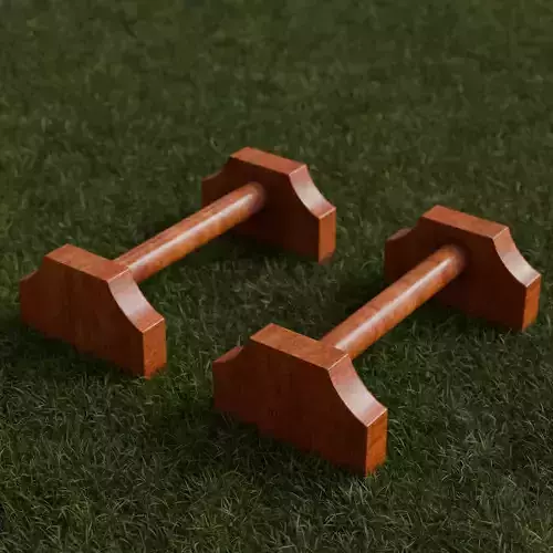 Realistic Wooden Parallettes