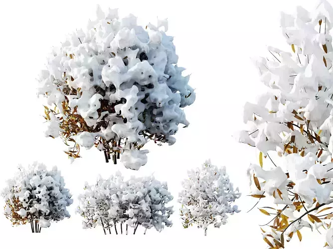 AV Plants Rhododendron Arboreum Bush Winter Snow 3D model