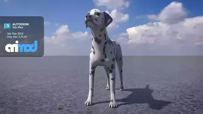 Dalmatian