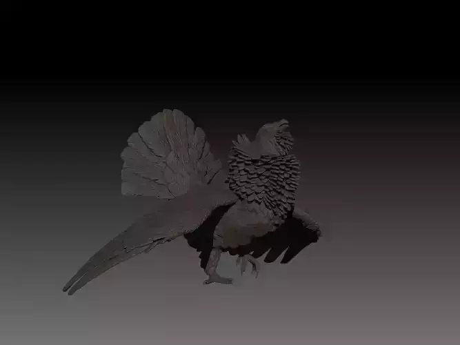 Capercaillie 3D model  3D print model