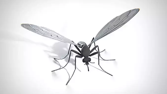 Mosquito PBR Low-poly 3D model