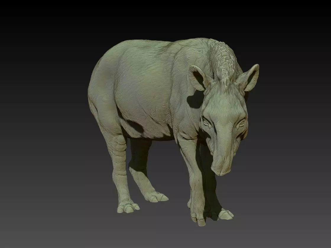Brazilian Tapir 3D print model
