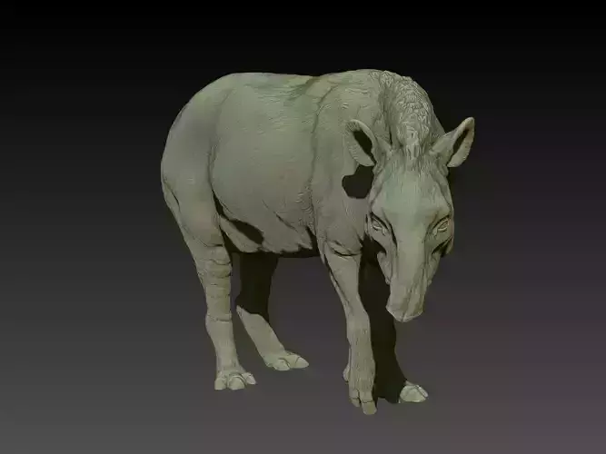Brazilian Tapir 3D print model