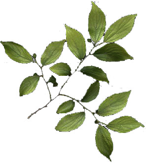 Infinite Swimming Pool 3D Model Waterfall Seating Area 3D model_10