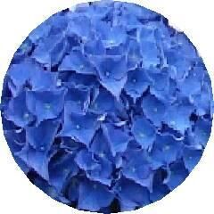 Infinite Swimming Pool 3D Model Waterfall Seating Area 3D model_7