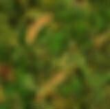 Infinite Swimming Pool 3D Model Waterfall Seating Area 3D model_23