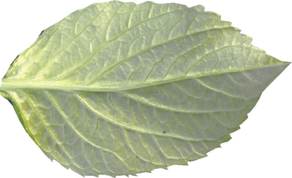 Infinite Swimming Pool 3D Model Waterfall Seating Area 3D model_8