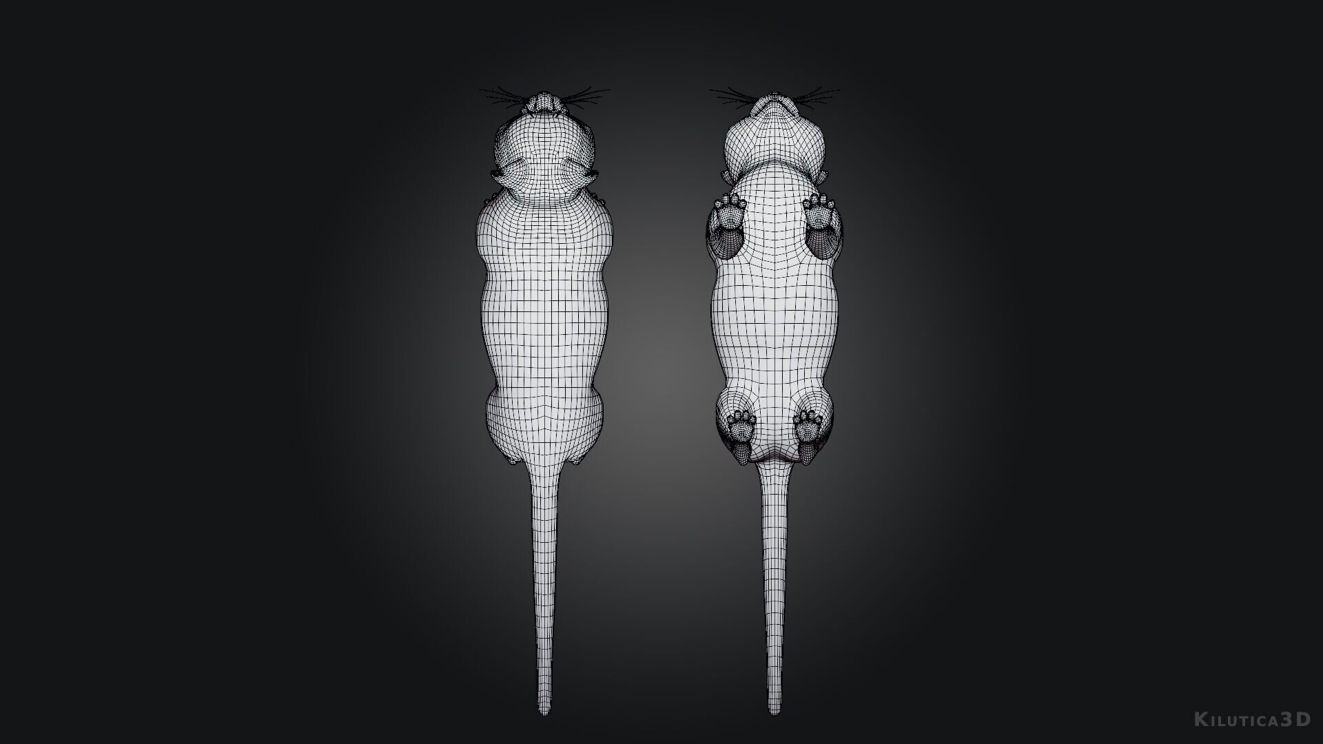 Rigged Cute Cat Low-poly 3D model_9