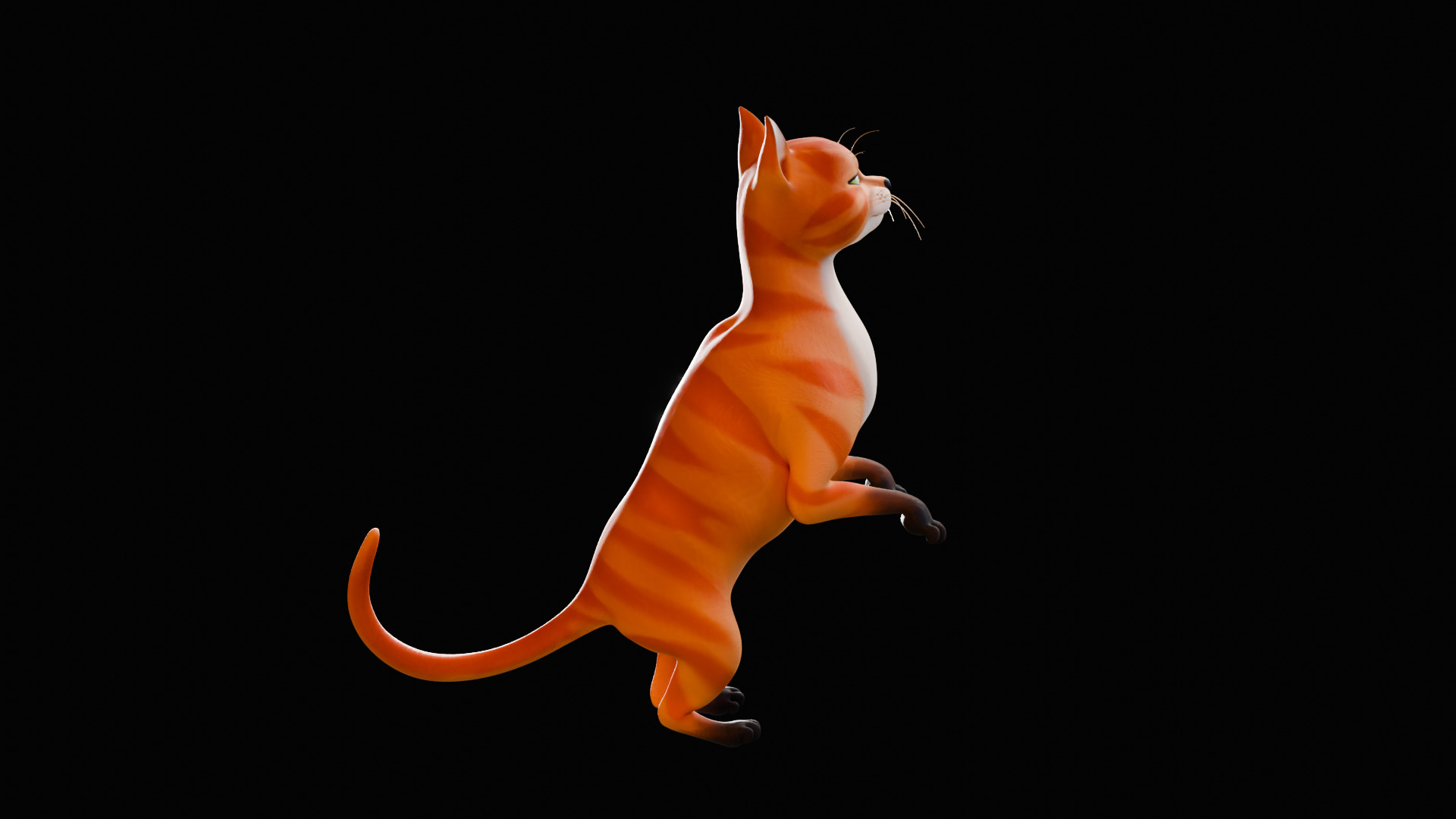 Rigged Cute Cat Low-poly 3D model_24