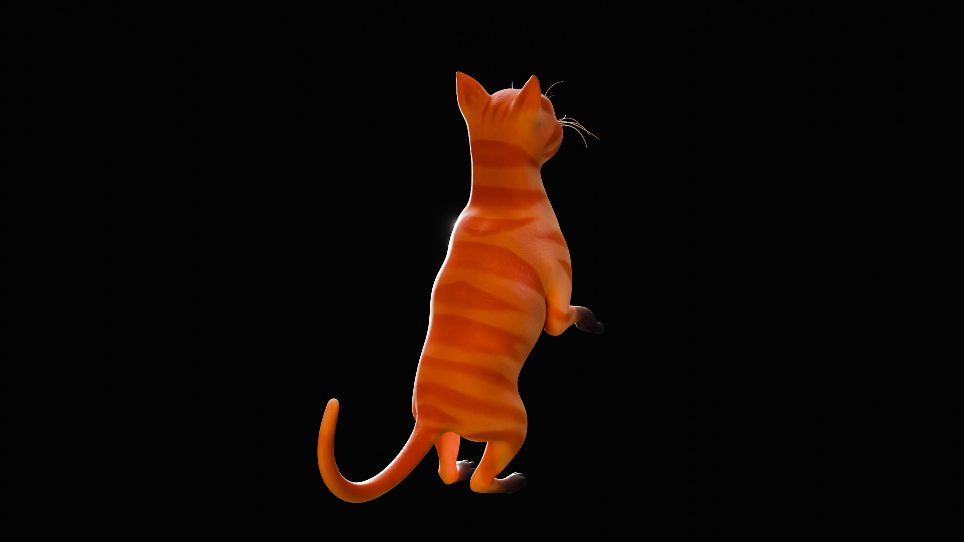 Rigged Cute Cat Low-poly 3D model_27