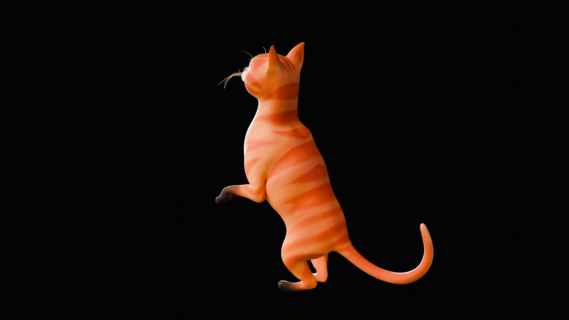 Rigged Cute Cat Low-poly 3D model_33