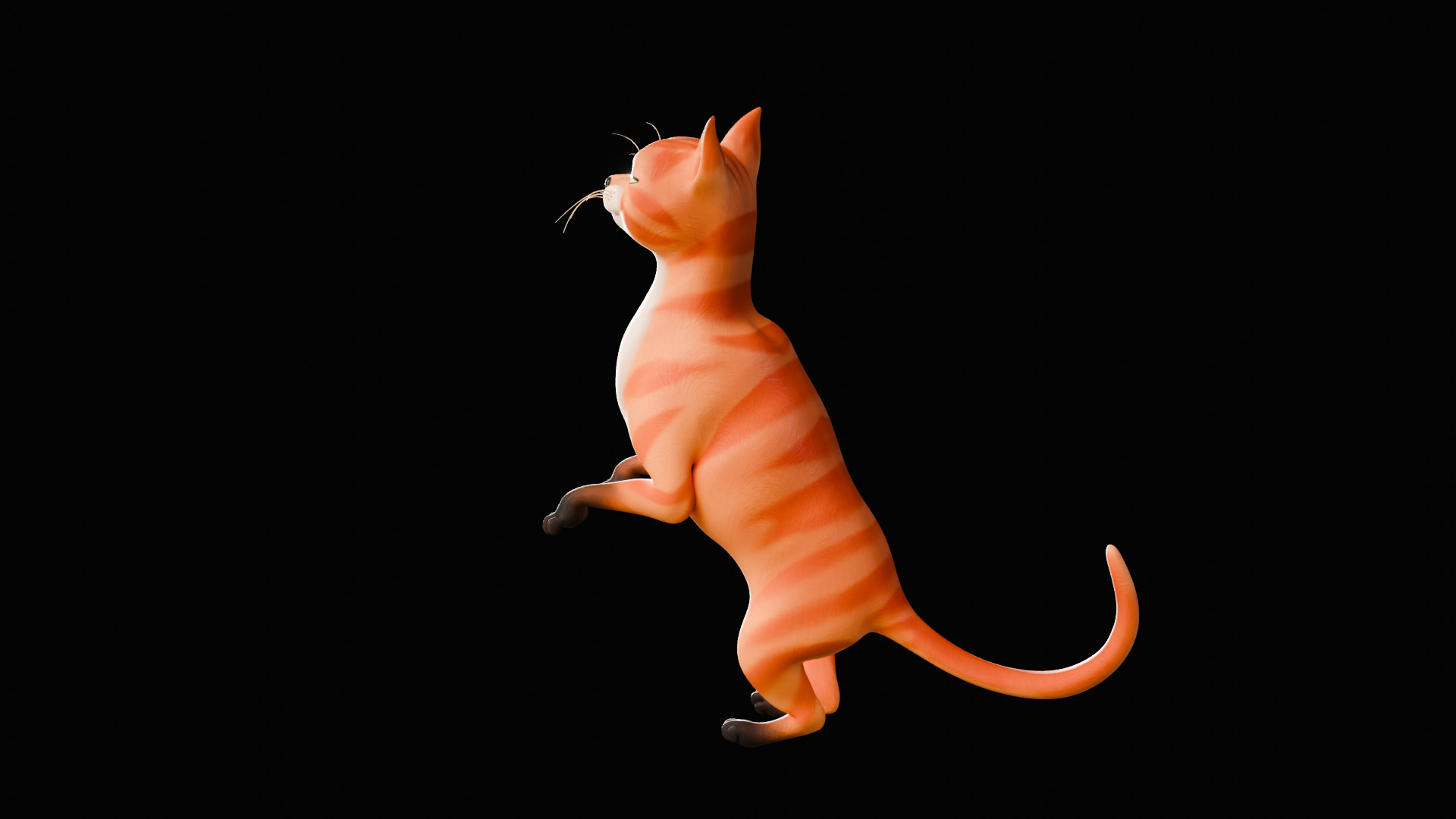 Rigged Cute Cat Low-poly 3D model_34