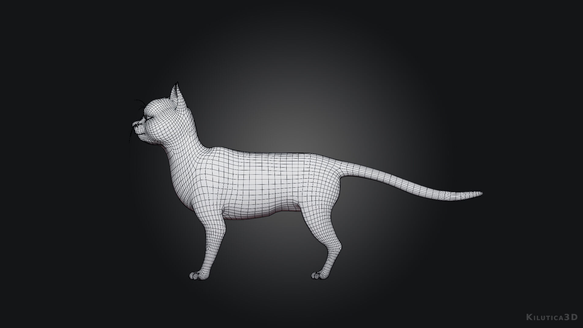 Rigged Cute Cat Low-poly 3D model_11