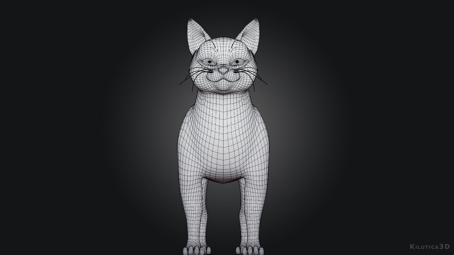 Rigged Cute Cat Low-poly 3D model_8