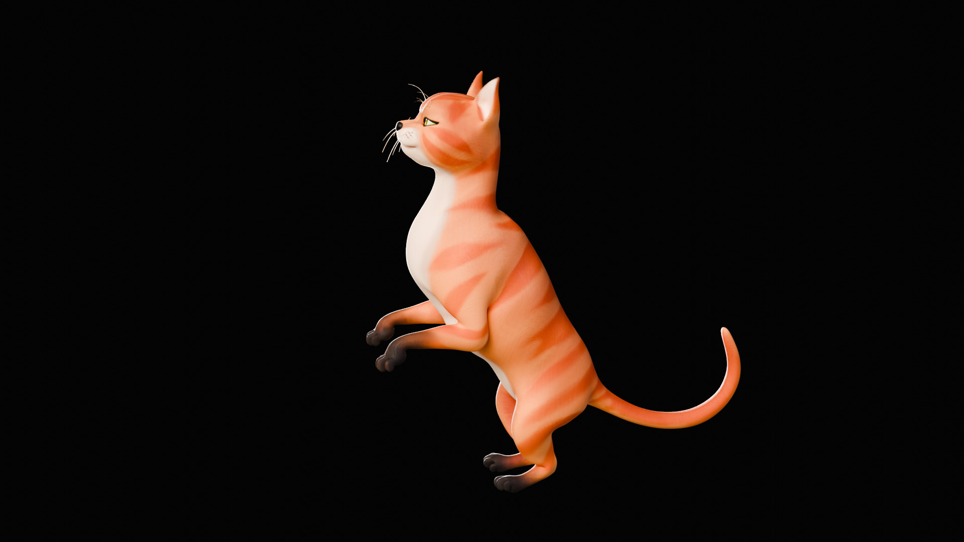Rigged Cute Cat Low-poly 3D model_36