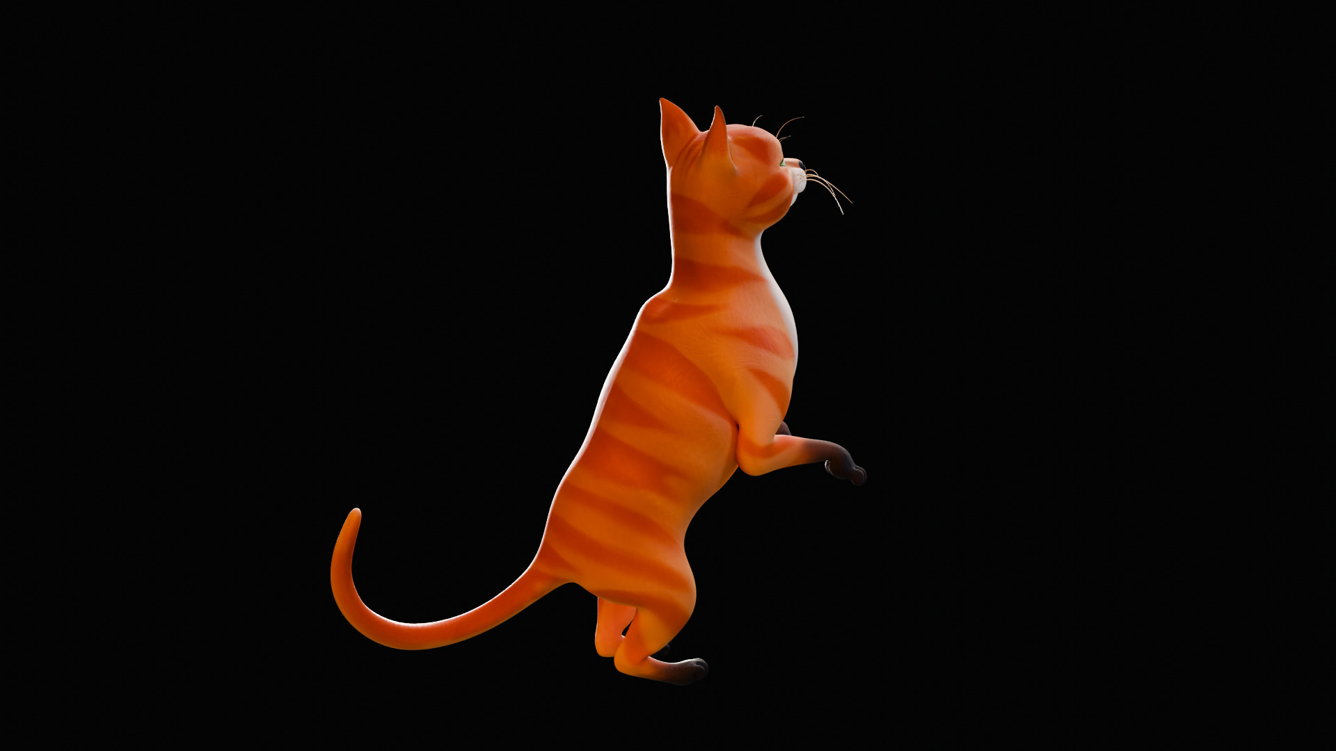 Rigged Cute Cat Low-poly 3D model_25
