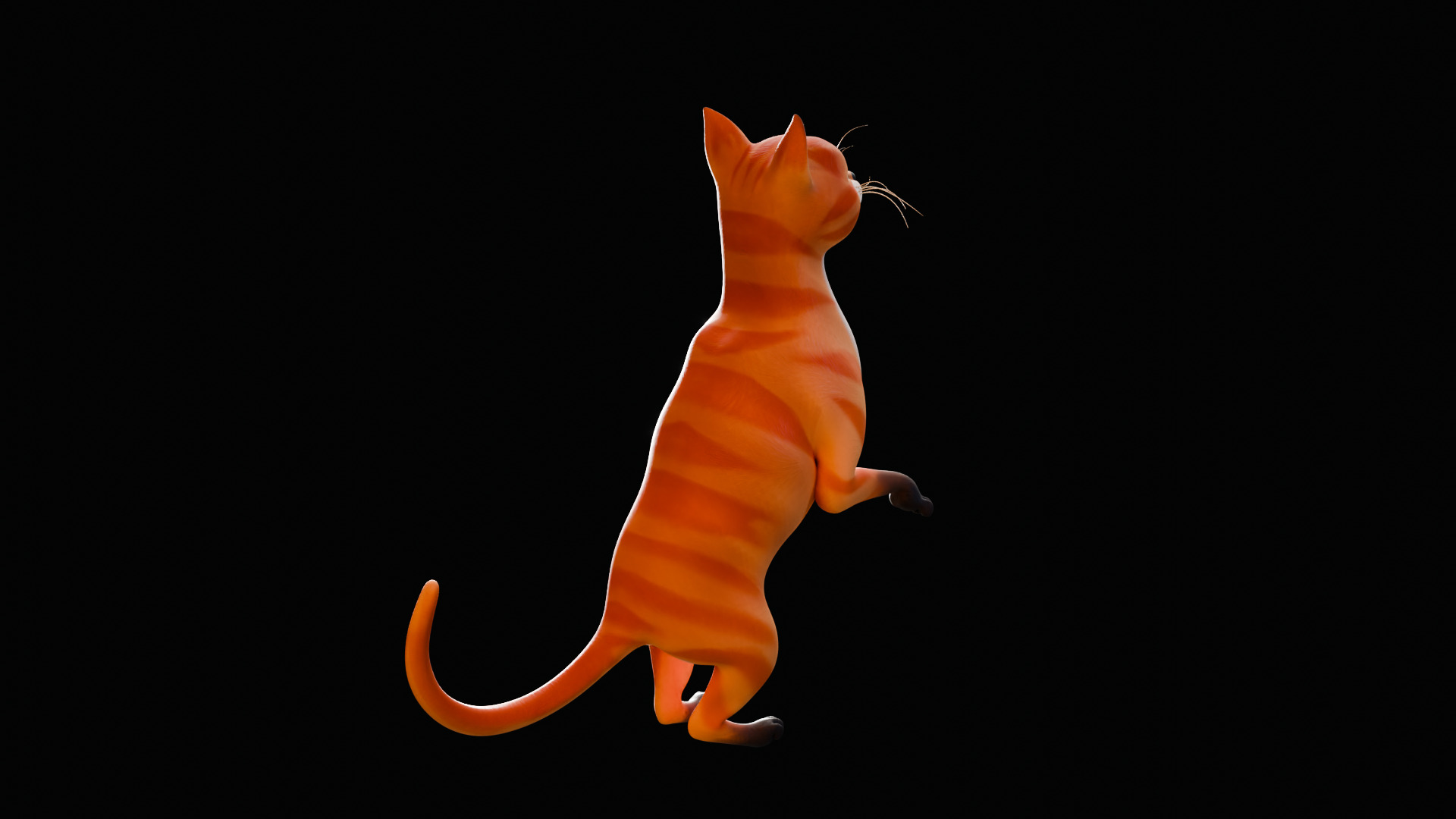 Rigged Cute Cat Low-poly 3D model_26
