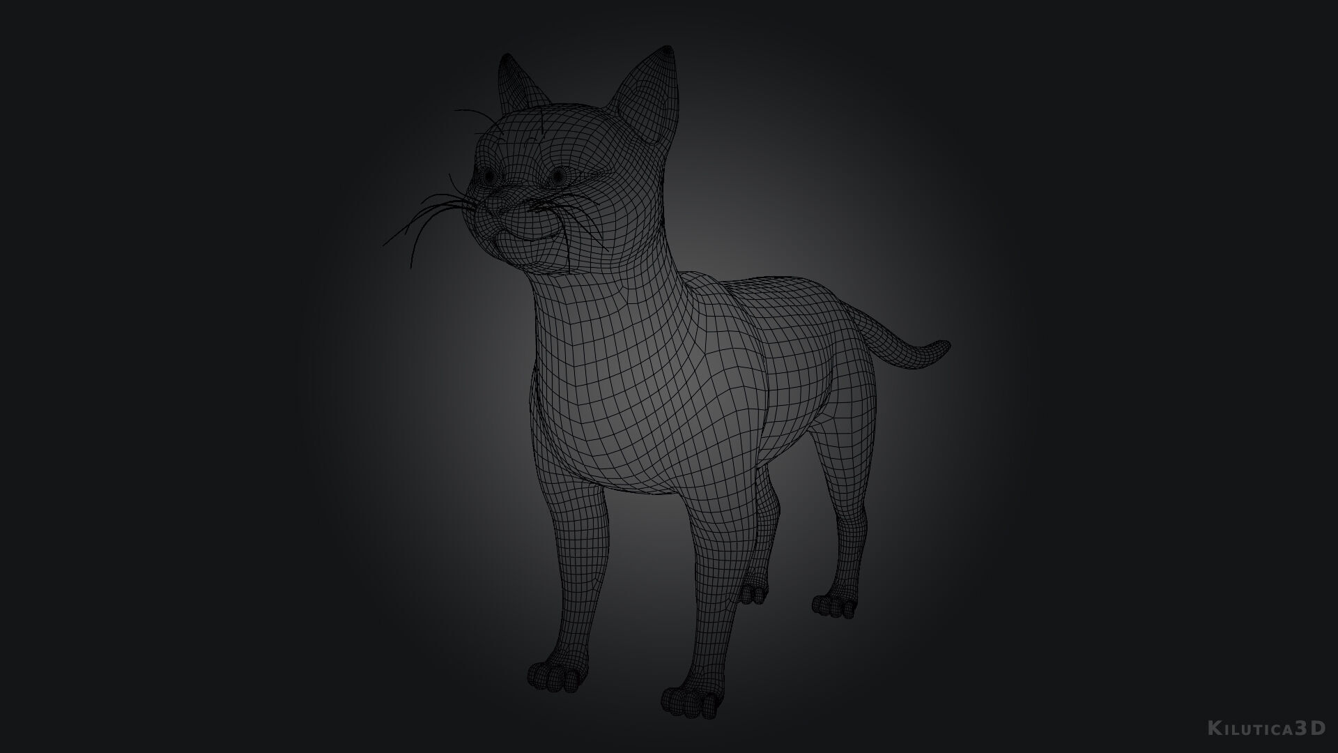Rigged Cute Cat Low-poly 3D model_10