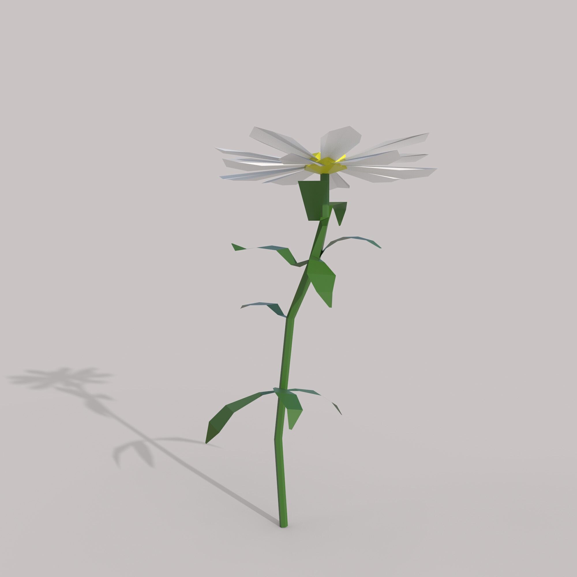 Flower Free low-poly 3D model_2